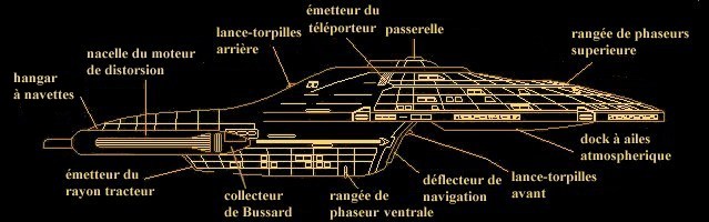 vue de profil