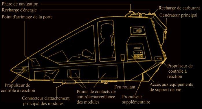 vue de profil